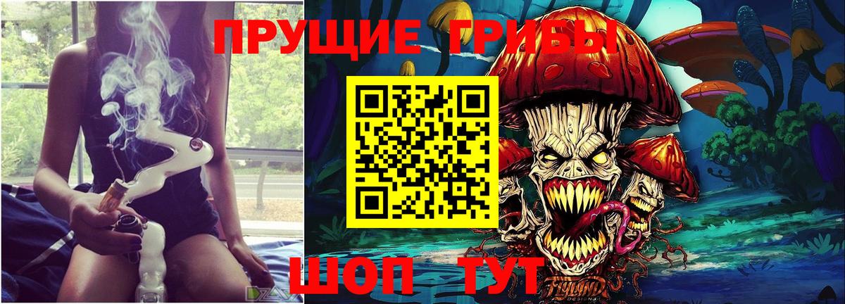 Псилоцибиновые грибы Psilocybe Гулькевичи