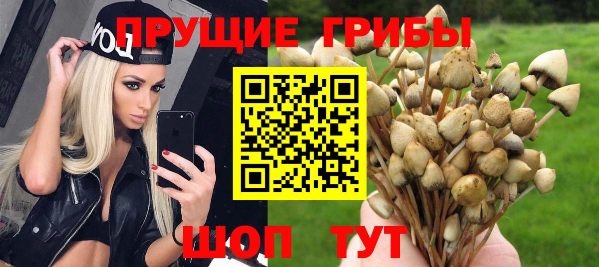 Псилоцибиновые грибы GOLDEN TEACHER  Вход с VPN  Гулькевичи 